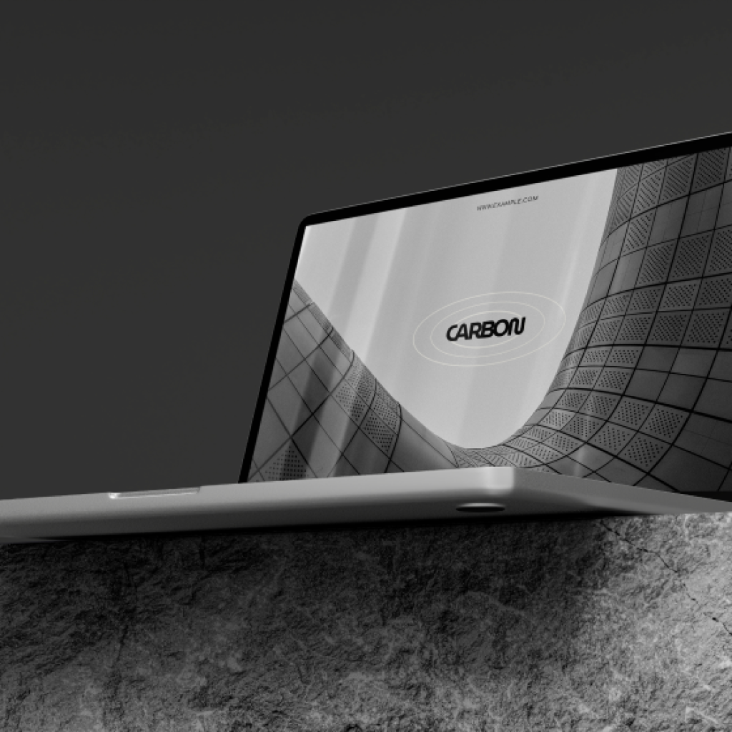 portfolio img 1.png